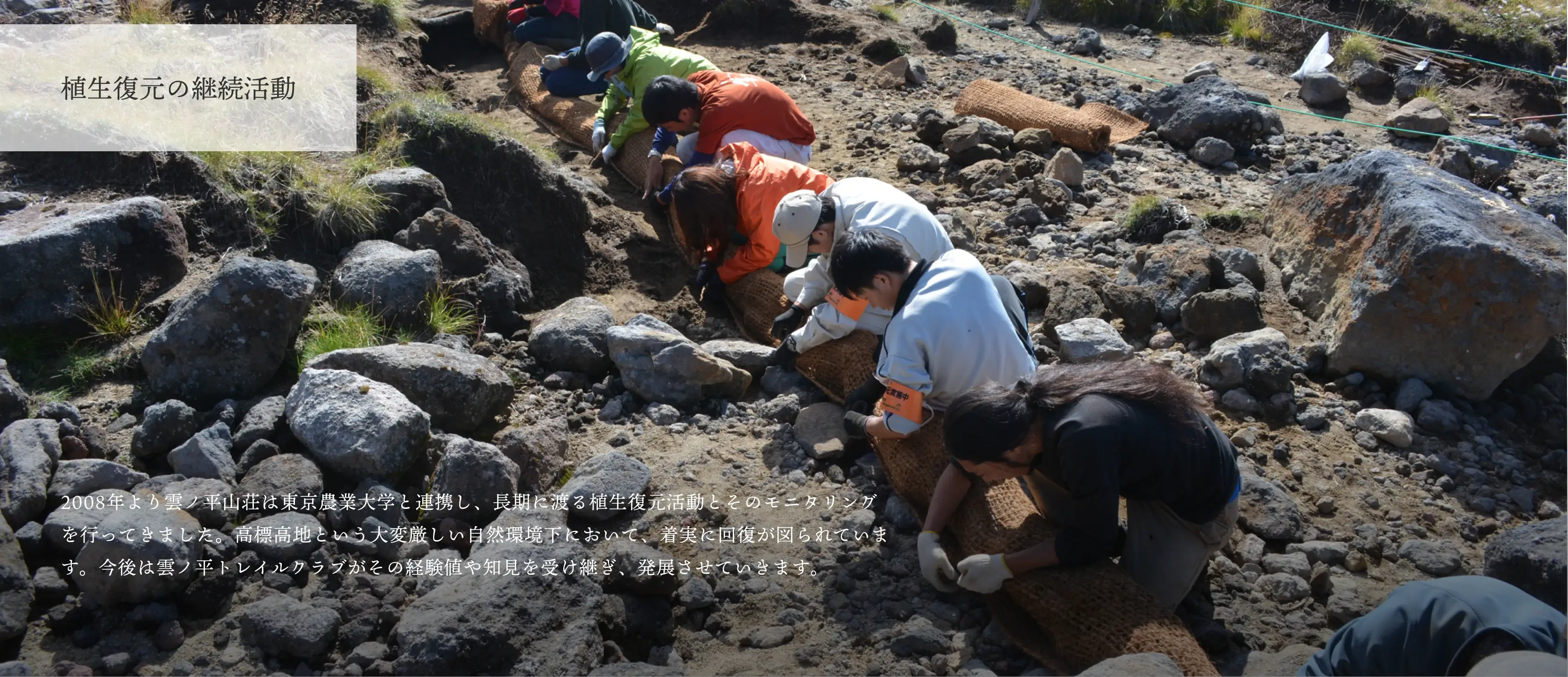 植生復元の継続活動