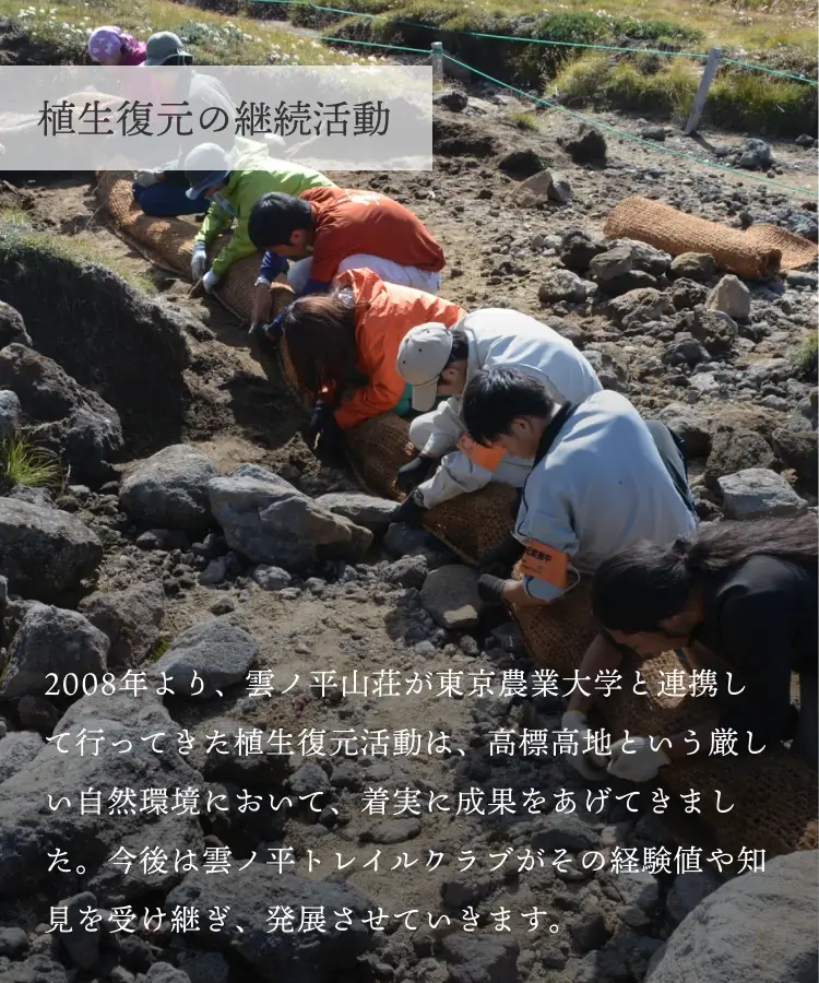 植生復元の継続活動