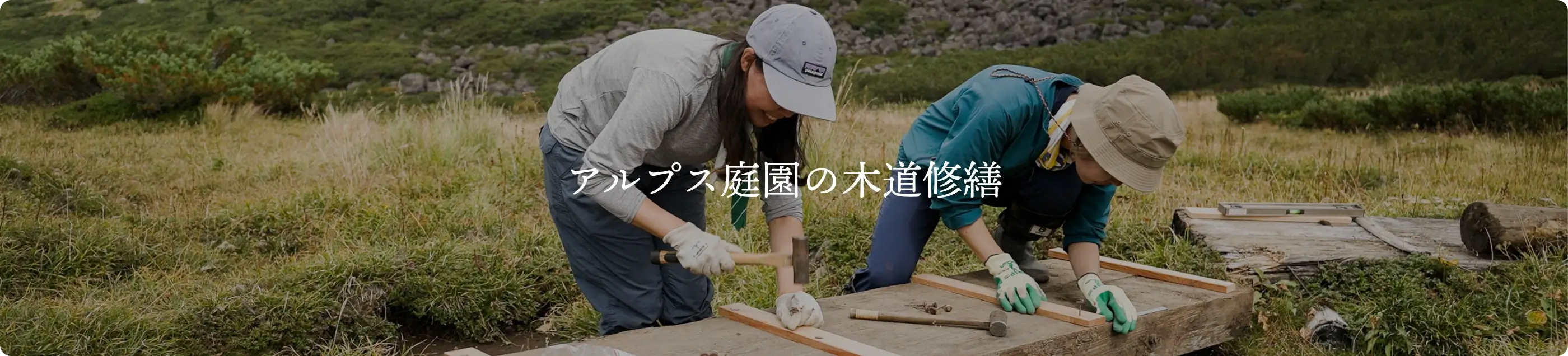 アルプス庭園の木道修繕