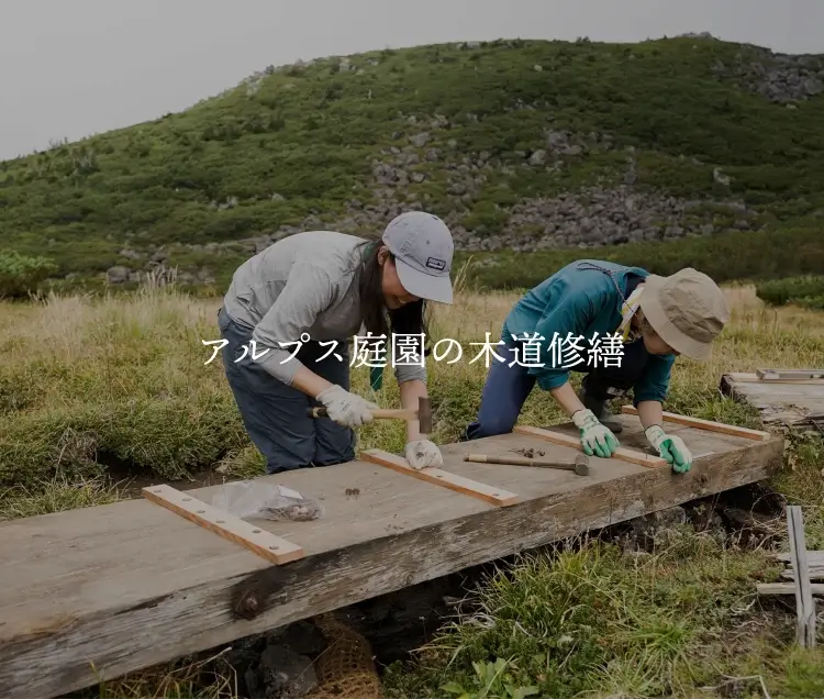 アルプス庭園の木道修繕