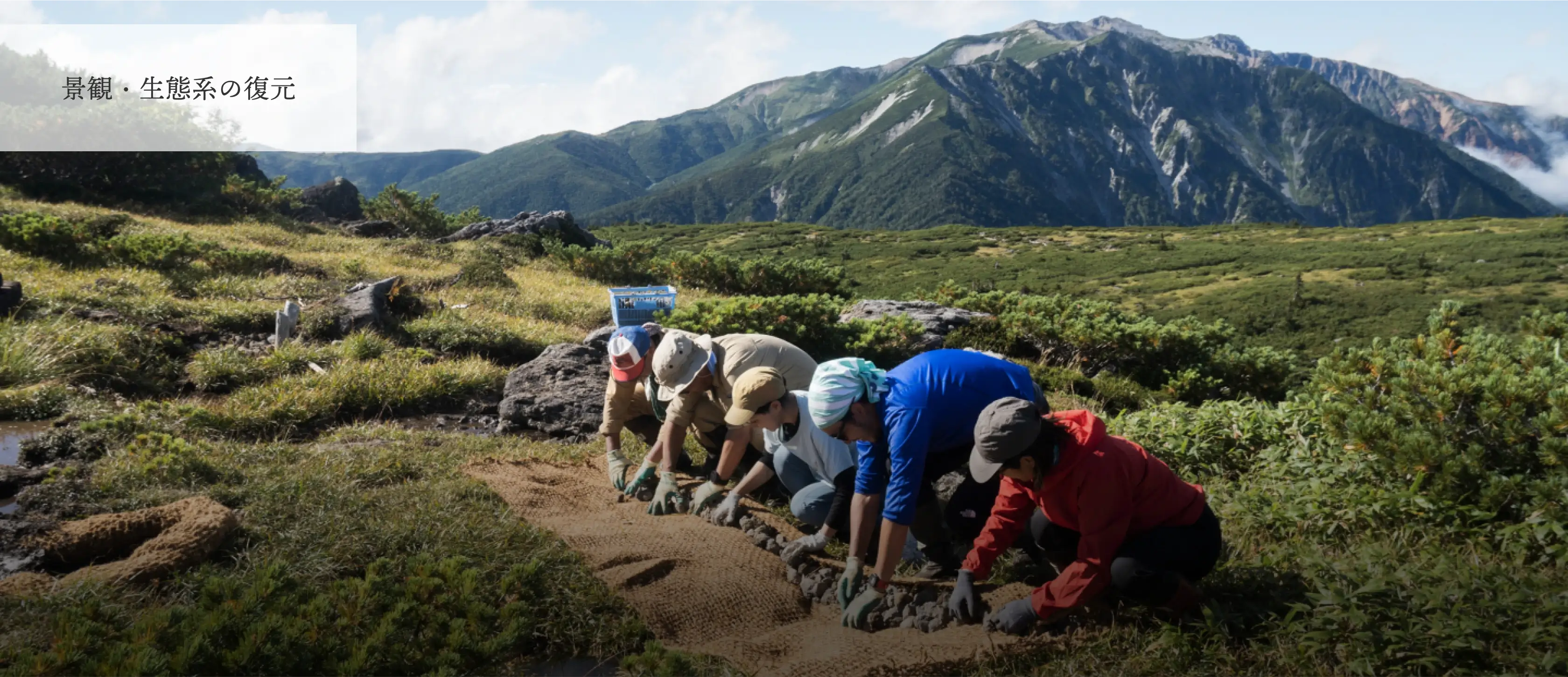 景観・生態系の復元