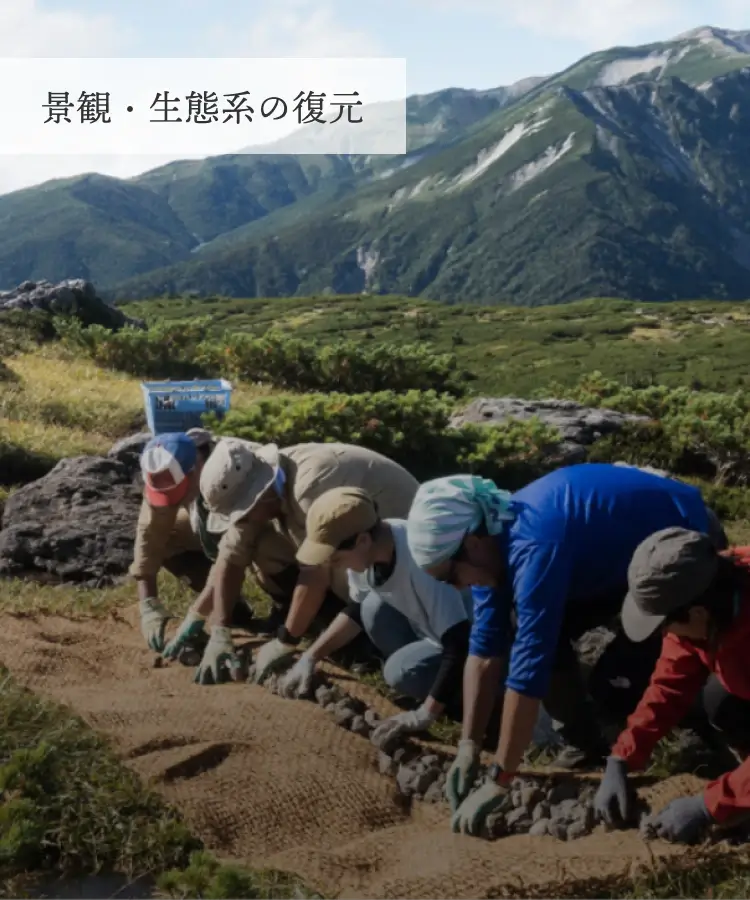 景観・生態系の復元
