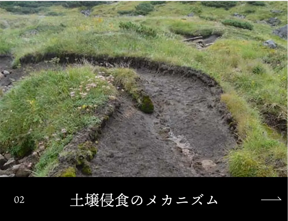 土壌侵食のメカニズム